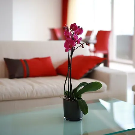 Amabilis Apartment Selce